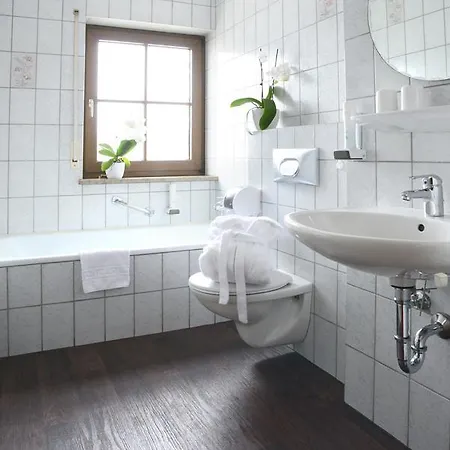 فندق Jaegerhof 3*